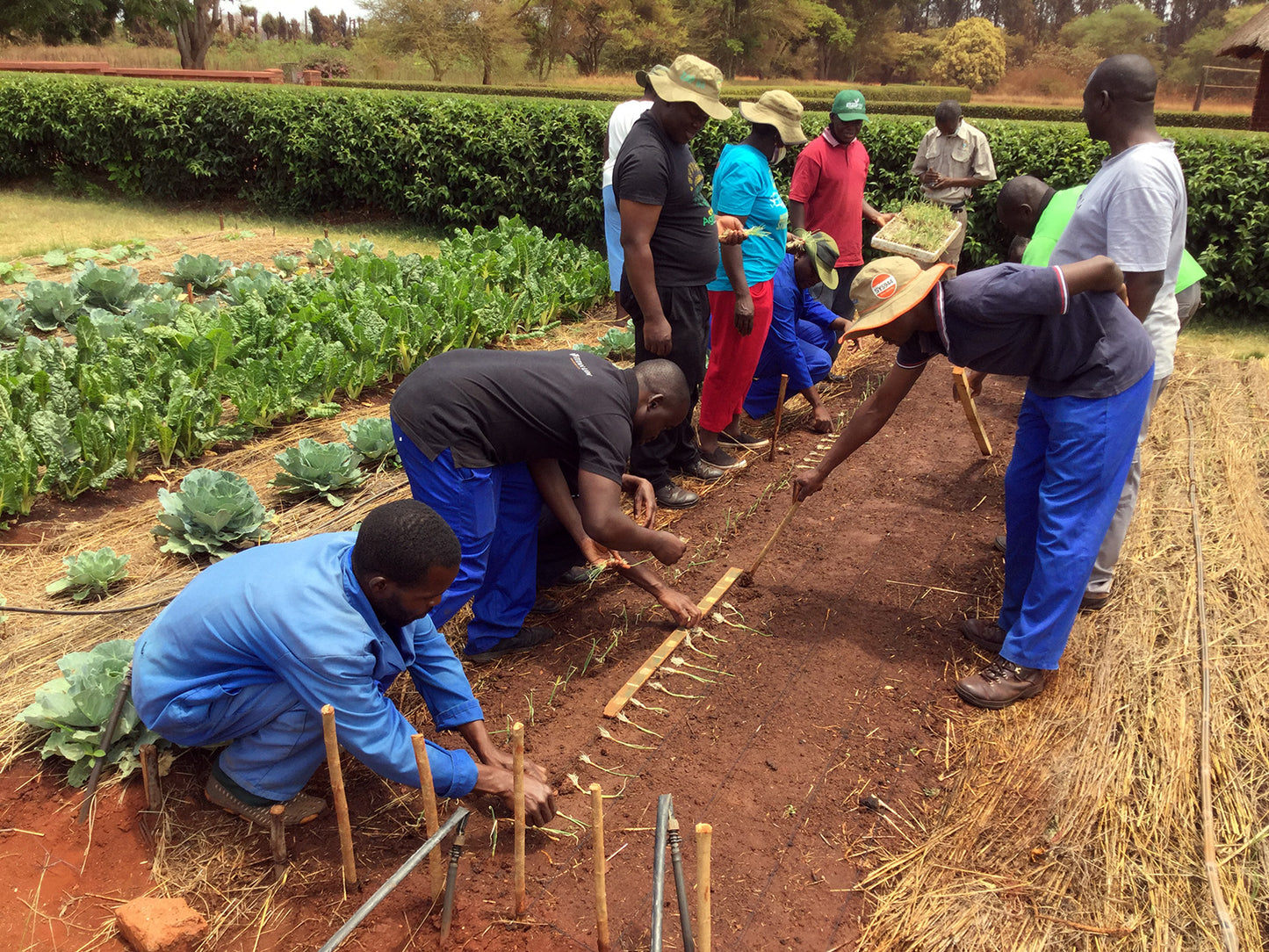 Foundations For Farming
