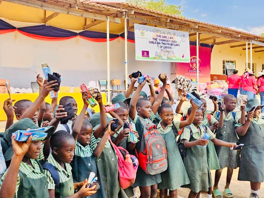 Education Coalition Of Zimbabwe (ECOZI)