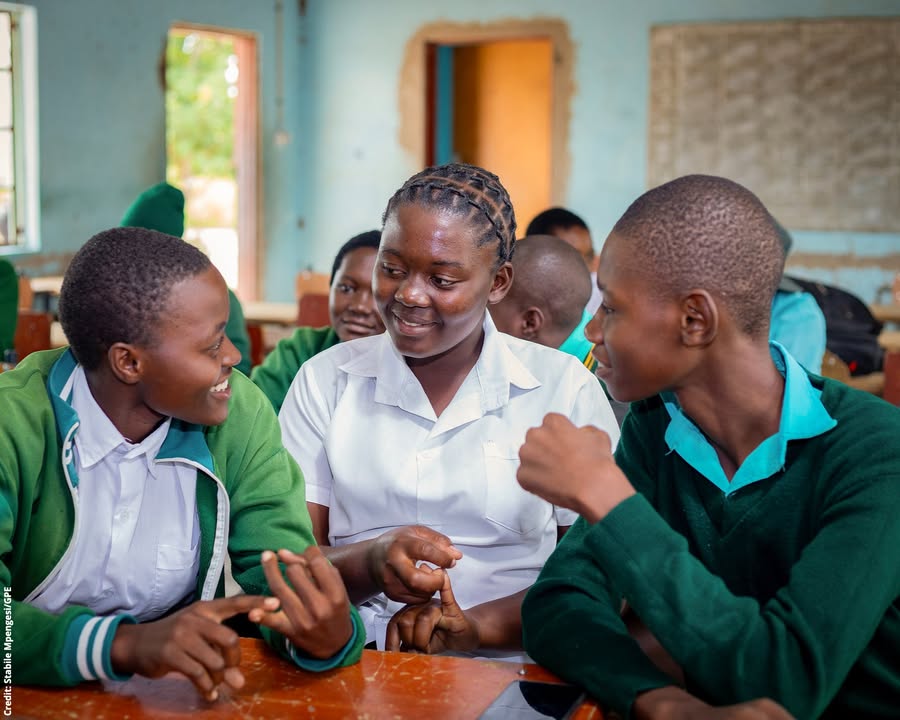 Education Coalition Of Zimbabwe (ECOZI)