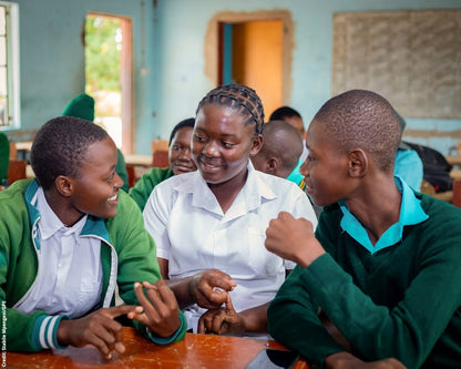 Education Coalition Of Zimbabwe (ECOZI)