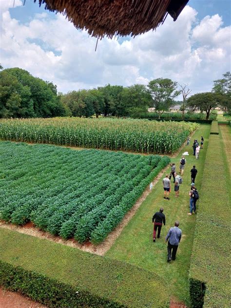 Foundations For Farming