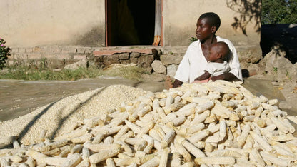 MERCY CORPS - ZIMBABWE
