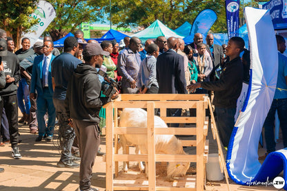 NANGO Zimbabwe
